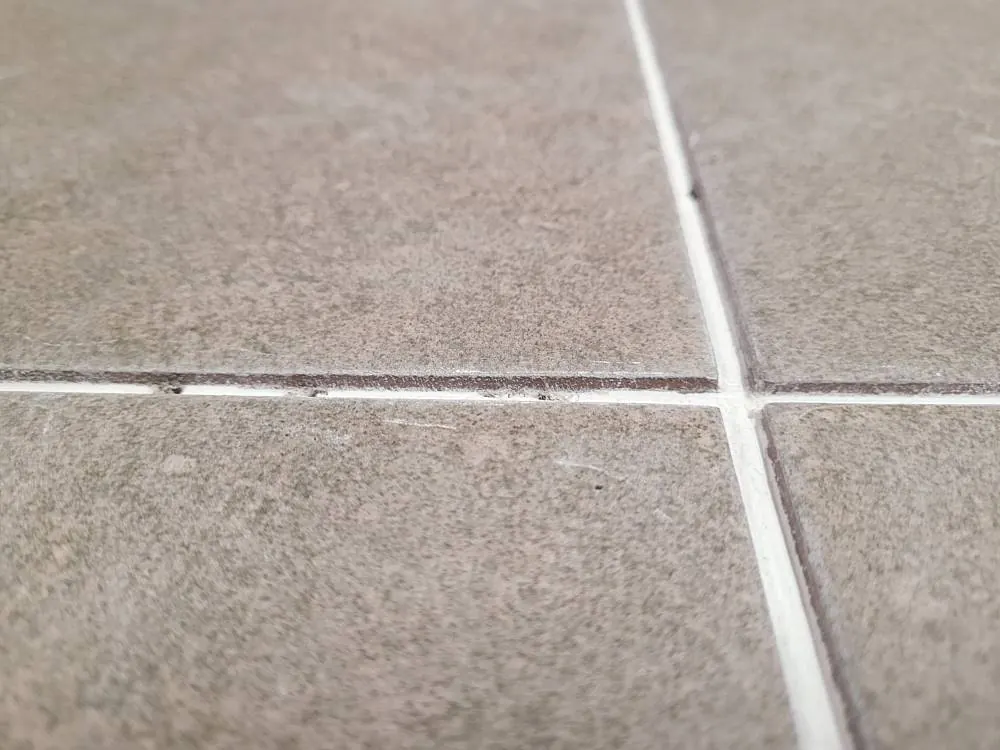 시공 전 5